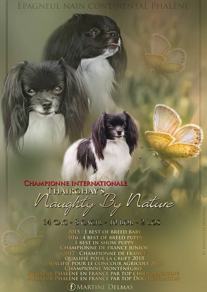 du Mas de l'Ensoleihado - Championne Internationale