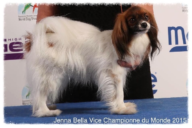 du Mas de l'Ensoleihado - WORL DOG SHOW A MILAN 2015