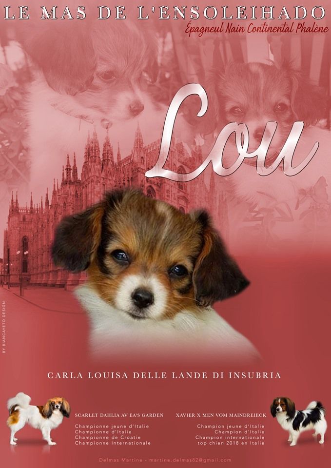 du Mas de l'Ensoleihado - bienvenue petite Carla Louisa